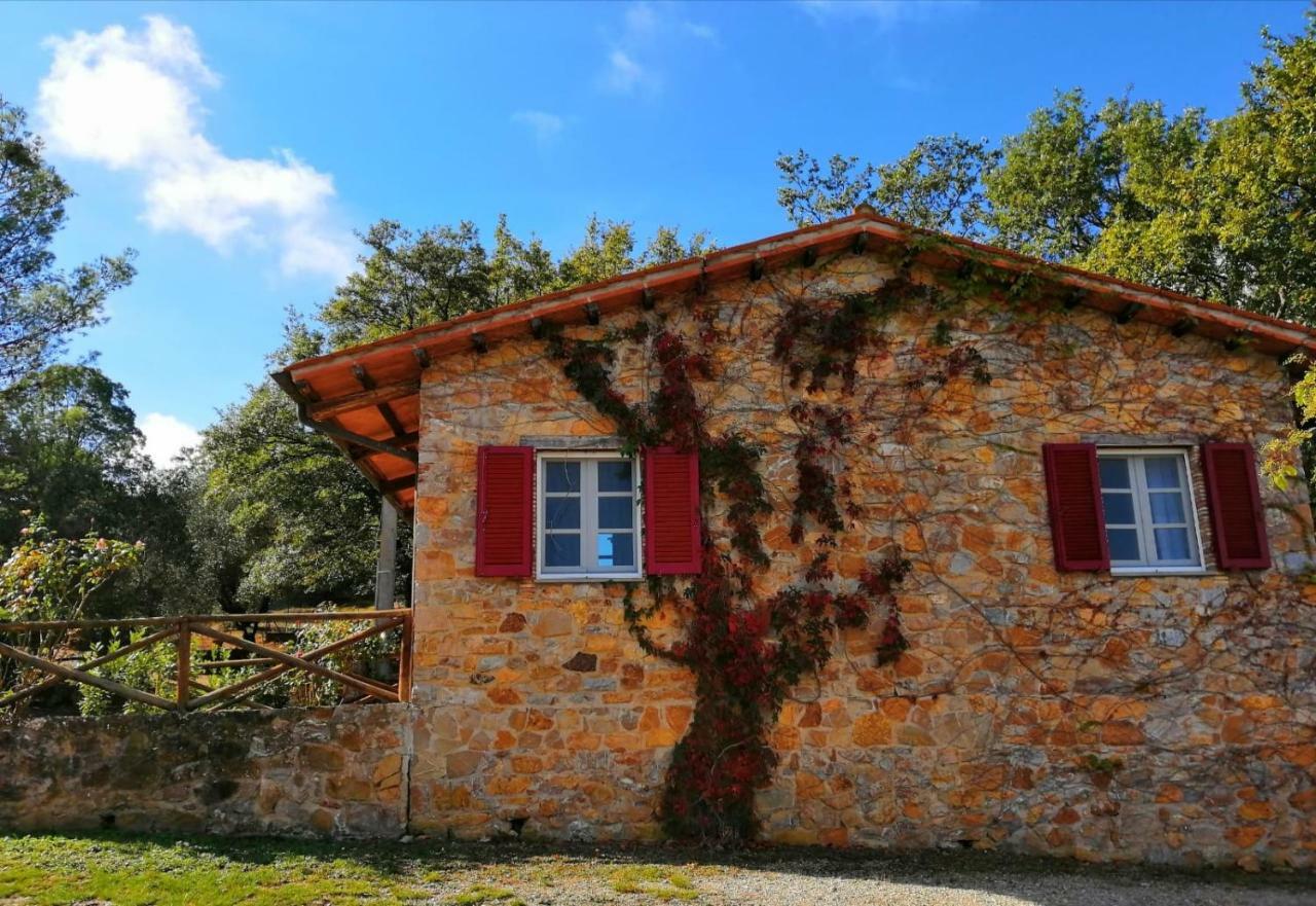 Il Daino Bianco Country Hotel Manciano Buitenkant foto